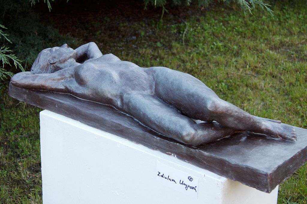 Společná výstava, červen 2010